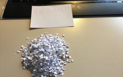 Narretei und andere Plagen
