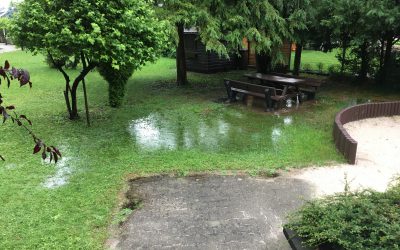 Klimawandel und Wohnungswirtschaft